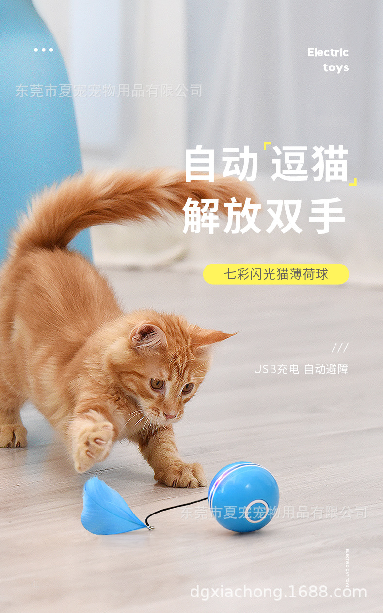 随意球-详情_01