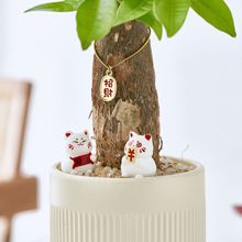 lؔ䄓ԾGֲ[Ȥζֲ҃ﻨkֱNlS