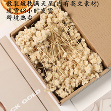 MǸɻdiyϰ廨b羳ɢbMˮ