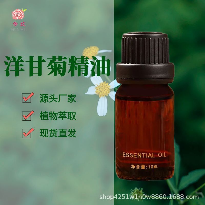 罗马洋甘菊精油英国产区精油单方精油原料批发芳疗按摩舒缓滋润|undefined