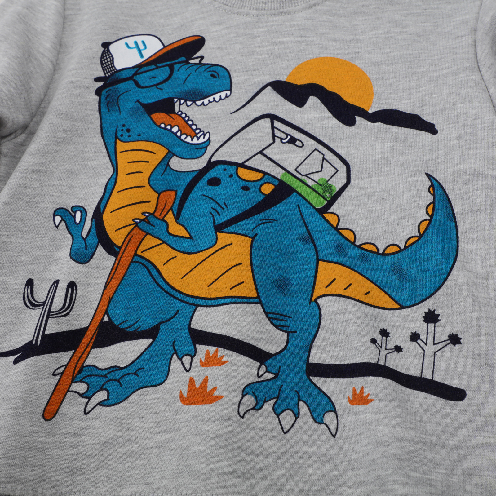 Fashion Dinosaur Cotton Hoodies & Sweaters display picture 4