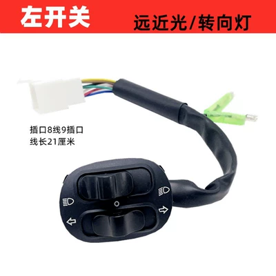 Other Electric Vehicle Accessories Original Electric Vehicle Battery - guanneng-t5-left-switch