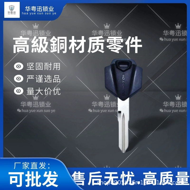 Подходит для Qianjiang QJ 150/250/350/400 Huanglong 600 Flashback Lion Starter Запасной ключ