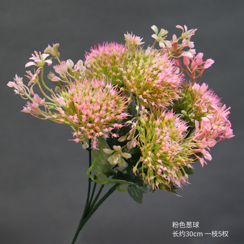 Bola de cebolla rosa