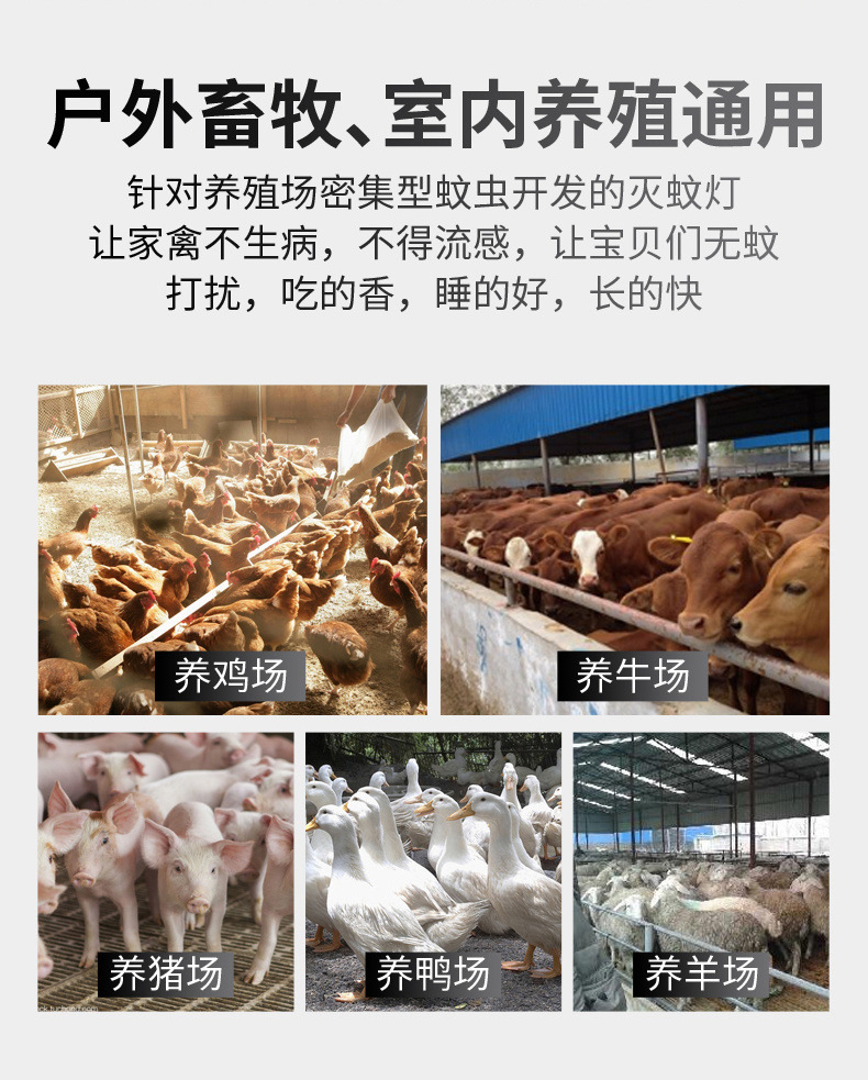 0c152f36-ed5c-42fc-b8d9-34aa6e2e1ab6.jpg