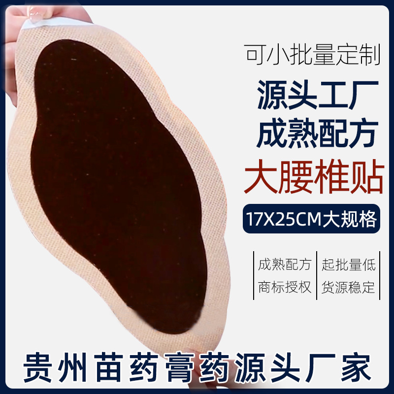 17X25 Lumbar Area Type Large Lumbar Patch Customized for Waist Fatigue and Discomfort from Prolonged Sitting, Oem Processing
