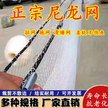 �¿������W���W�ϾW�����W���~�W̧�W���~��W����ܛ�~���x�W