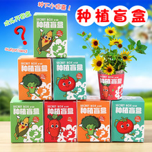 创意儿童种植盲盒小盆栽盲盒迷你桌面盆栽花农幼儿园儿童植物观察