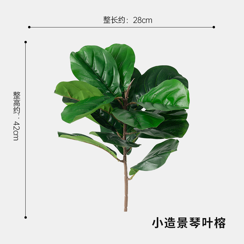 작은 조경 진예롱