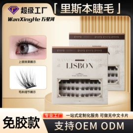 假睫毛;假睫毛镊子