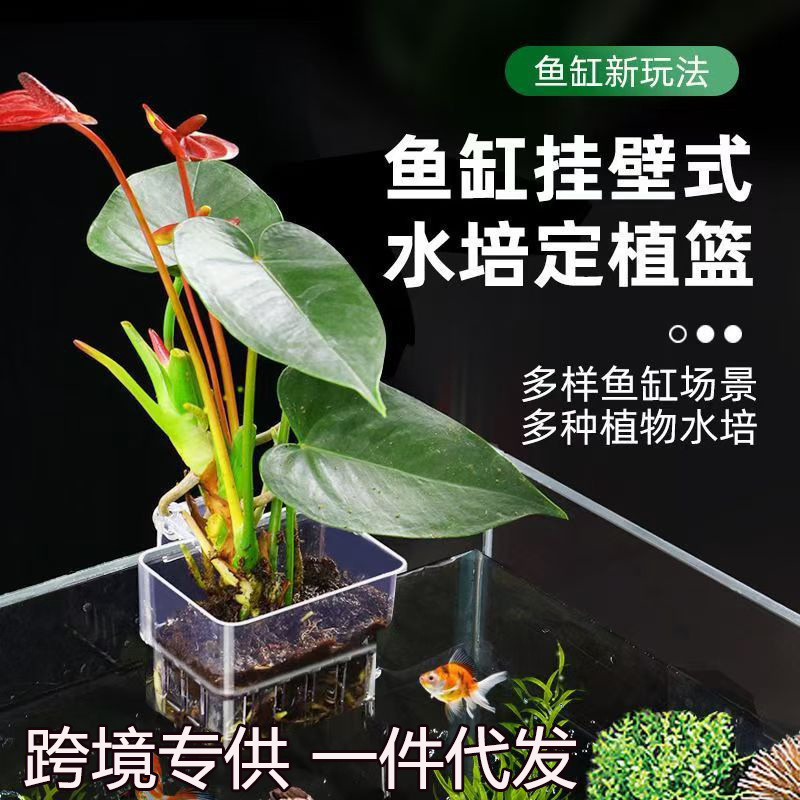 鱼缸水培植物篮家用水草种植杯壁挂式挺水植物定植篮造景鱼缸挂篮|undefined