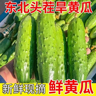 ���r�^��|�����S�ϴ��S��С������ɿ��r��ζ���Fժ�F�l