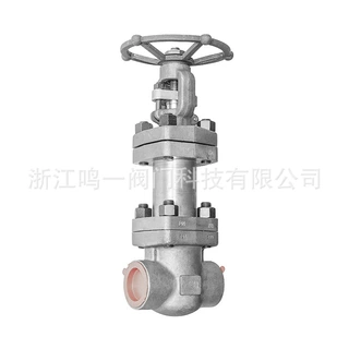 锻造高压波纹管闸阀1500LB波纹管闸阀波纹管截止阀高温高压波纹管