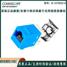 ��Ʒ����amp�������������ǧ������ģ��cat6��Ϣ���8-1375055-6