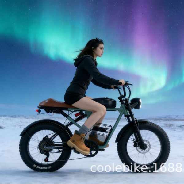 Super73 snow off-road fat tire electric bicycle 20-inch thick tire…