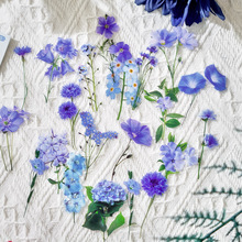 ɻփԸֲֵﻨ֎زDIYbNˮPETNinsL