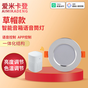 Aimikad/Amikaden Smart Voice Control Downlight Living Room Ceiling Embedded LED Downlight