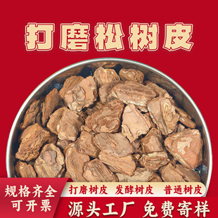 �S�ҹ�����ĥ�ɘ�Ƥ �������[�@���ЙC���w��ͥԺ�G���쾰��Ƥ
