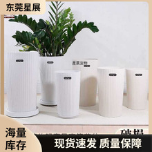 �¿�߈AͲ������ô�̖�����Կ͏d�����������B�lؔ�����