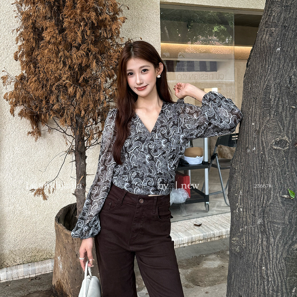 LS Retro Elegant V-Neck Printed Shirt, Guangzhou Shisanhang 2026 Early Autumn New Women's Top 23667#
