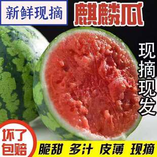 ������������������rˮ�������8���ϱ�Ƥ��֭-9���