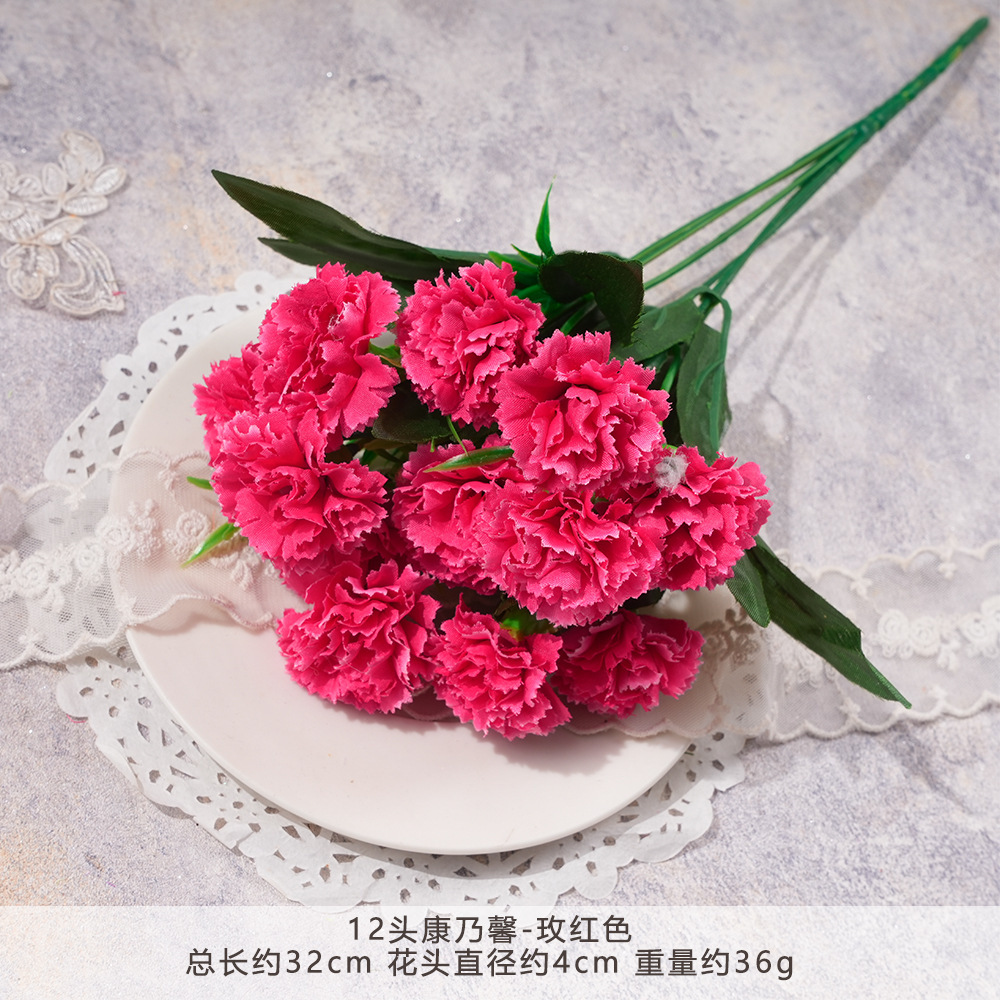 Yyy2 - 12 Claveles de cabeza - Rojo rosa