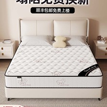 ϯ��˼���|��������ܛ�|20cm��������ӲҬ�����z1.5���ⷿ