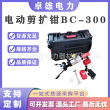 綯ǯBC-300ԮʳʽҺѹ๦ǯ