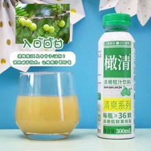 包邮批发橄清300毫升