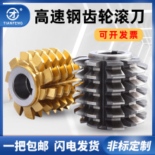 齿轮滚刀压力角20度30度滚齿刀A级M1M4M5高速钢W6542材料M2整体