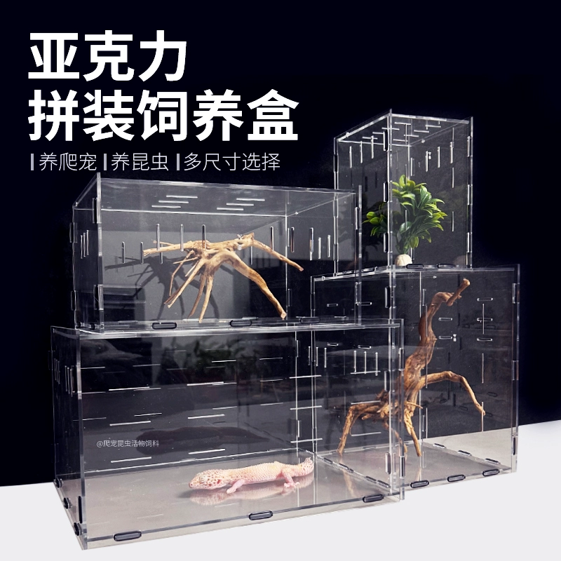 Насекомое насекомое Акрилопрозрачная декоративная коробка для кормления самообслуживания