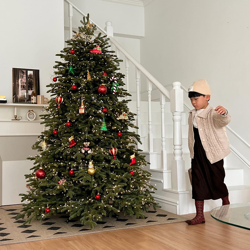 2025 árbol de Navidad doméstico imitación grande inswind decoración de Navidad PE puro cifrado paquete de árbol de Navidad diy