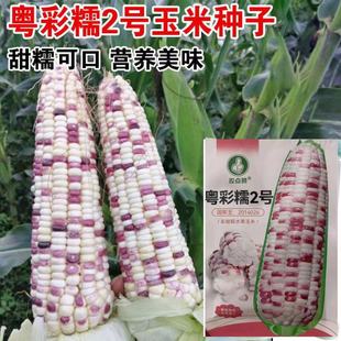 ������Ŵ���׷N�ӻ���Ŵ2̖��Ŵ���׷N�ӻ�Ŵ���׻�����Ŵ����