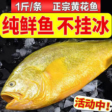 ���S���~���r���l�r��������r���r���S�~�����uͨ