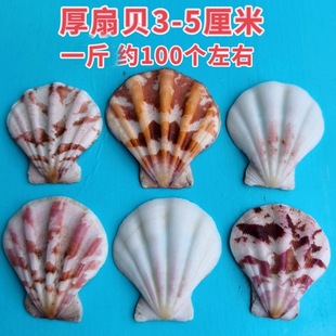 ��Ȼؐ�����ݺ���ؐ�Ҿ��~���b���Ӱ�[�500g��1��