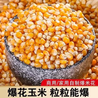 干玉米批发爆米花专用玉米散装玉米粒电影院家用自爆批发