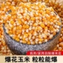 家用散装爆米花干玉米