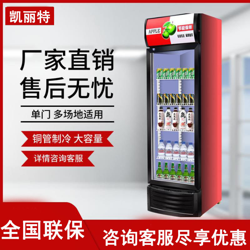 饮料展示柜啤酒柜商用冷藏冰柜双开门冷饮柜单门冷藏立式保鲜柜