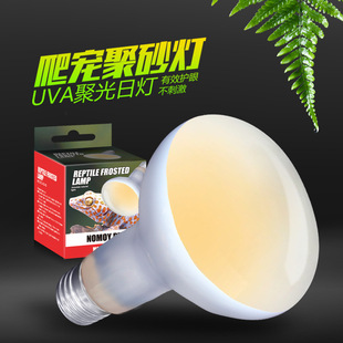 �ZĦ220v���ʺ�ĥɰ�ӟ���������r�B���g������B����՟�