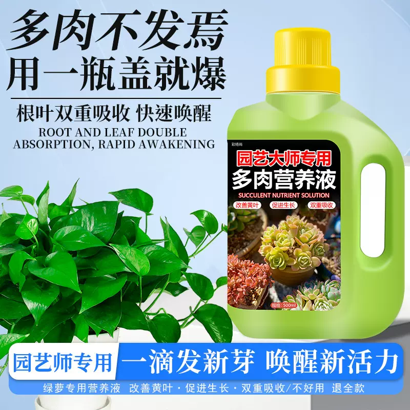 免稀释多肉营养液专用植物家用通用型即喷水培花肥花卉测试非卖品