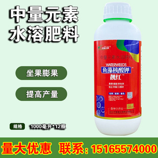 �n�t �~������ �������������߮a������ ˮ�� �~���1000ml