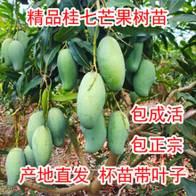 �V������â�����Ϸ�����޽������Ե���â�����玧�����~����Y��