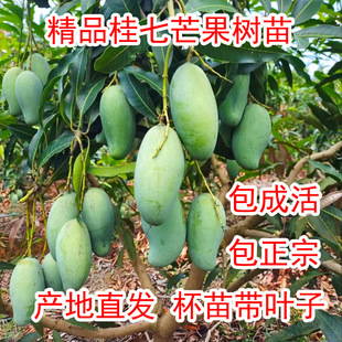 �V������â�����Ϸ�����޽������Ե���â�����玧�����~����Y��