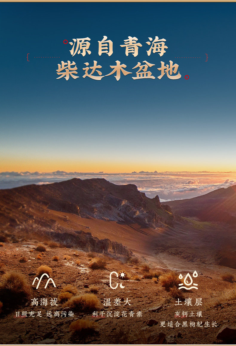 Black Goji Berry Dried Fruit 500g Hand Selected Premium Grade Qinghai Tibetan Plateau specifications