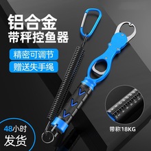 XϽ~ӿD๦ܿ~QӴQP·Qb