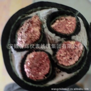 供应VV聚氯乙烯电力电缆VV VV22 VLV VLV22