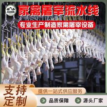 家禽屠宰设备流水线 鸡自动屠宰拔毛设备 鸭鹅自动屠宰设备