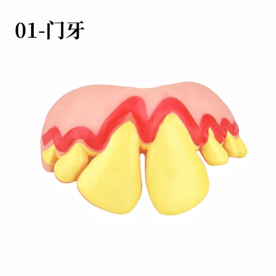 Funny Funny False Teeth Set April Fool's Day Funny Toy Buck Teeth Rabbit Teeth Vampire Teeth