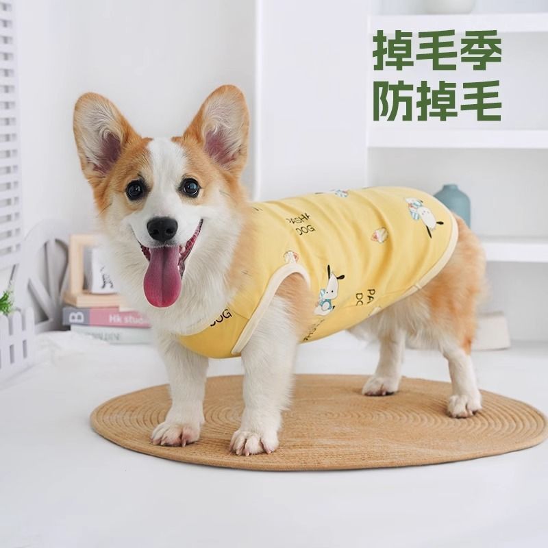 c560df8a-6b32-40cc-9c96-20cd986b89c9.jpe