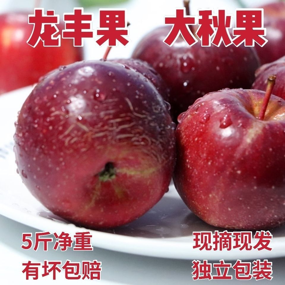 东北大秋果龙丰果现摘酸甜脆孕妇水果小苹果新鲜海棠果
